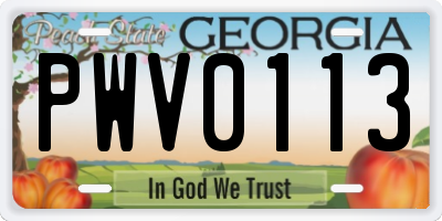GA license plate PWV0113