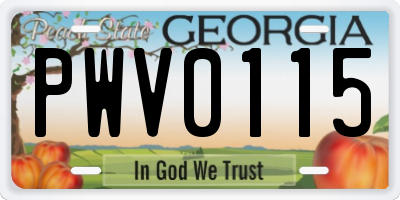 GA license plate PWV0115