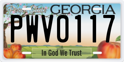 GA license plate PWV0117