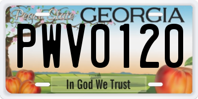 GA license plate PWV0120