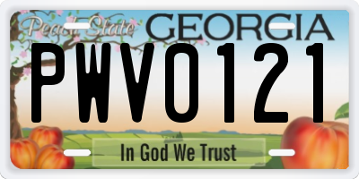 GA license plate PWV0121