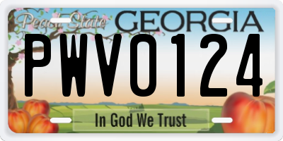 GA license plate PWV0124