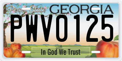 GA license plate PWV0125