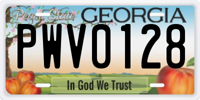 GA license plate PWV0128