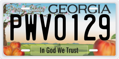 GA license plate PWV0129