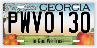 GA license plate PWV0130
