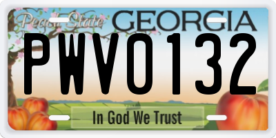 GA license plate PWV0132