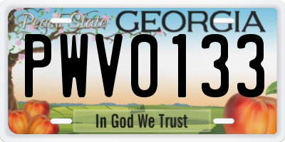 GA license plate PWV0133