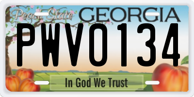 GA license plate PWV0134
