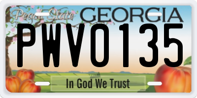 GA license plate PWV0135