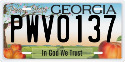 GA license plate PWV0137