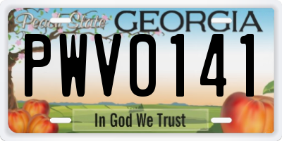 GA license plate PWV0141