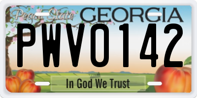 GA license plate PWV0142