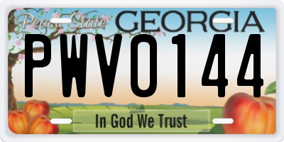 GA license plate PWV0144