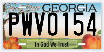 GA license plate PWV0154