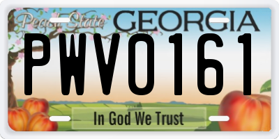 GA license plate PWV0161
