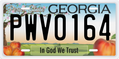 GA license plate PWV0164