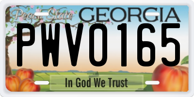 GA license plate PWV0165