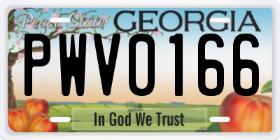 GA license plate PWV0166