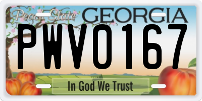 GA license plate PWV0167