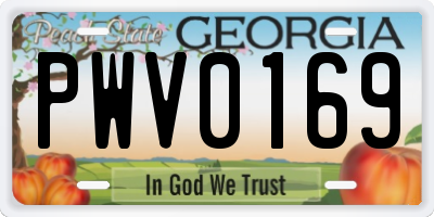 GA license plate PWV0169