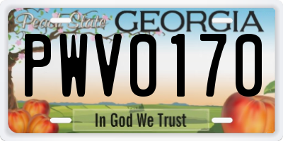 GA license plate PWV0170