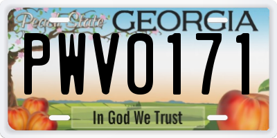 GA license plate PWV0171