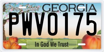 GA license plate PWV0175