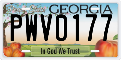 GA license plate PWV0177