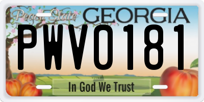 GA license plate PWV0181