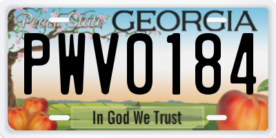 GA license plate PWV0184