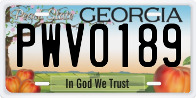 GA license plate PWV0189