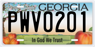 GA license plate PWV0201