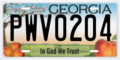 GA license plate PWV0204