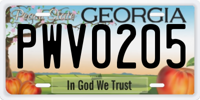 GA license plate PWV0205