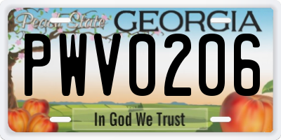 GA license plate PWV0206