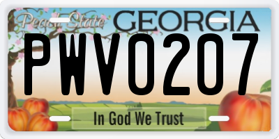 GA license plate PWV0207
