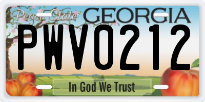 GA license plate PWV0212