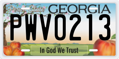 GA license plate PWV0213