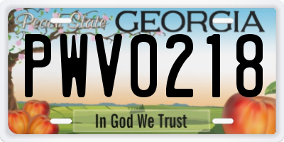 GA license plate PWV0218