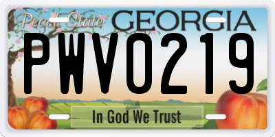 GA license plate PWV0219