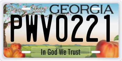 GA license plate PWV0221