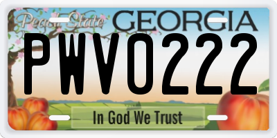 GA license plate PWV0222