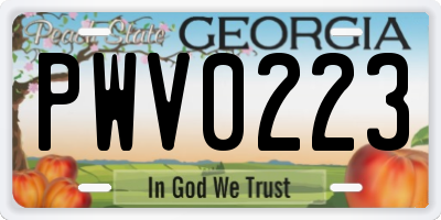 GA license plate PWV0223