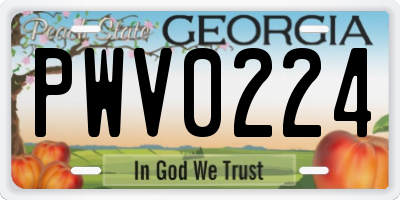 GA license plate PWV0224