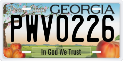 GA license plate PWV0226