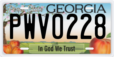 GA license plate PWV0228