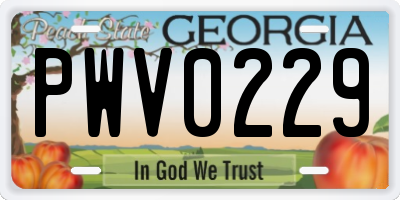 GA license plate PWV0229