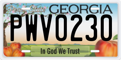 GA license plate PWV0230