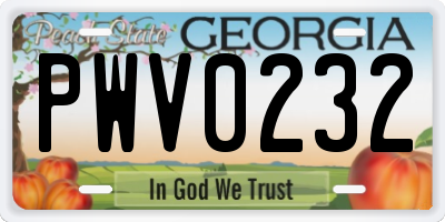 GA license plate PWV0232